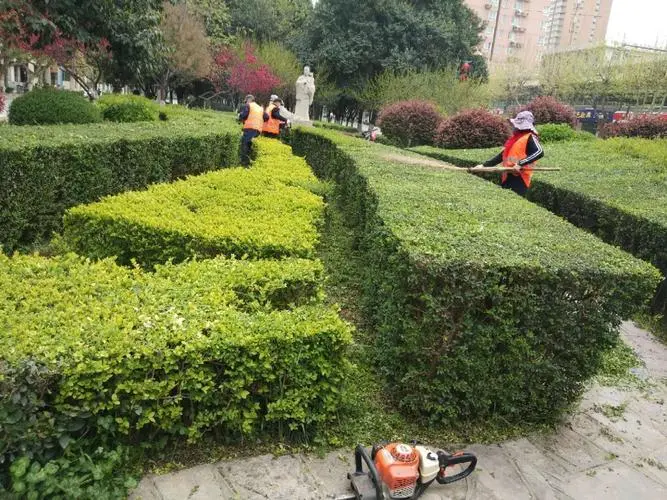 城市中的绿化景观色设计：塑造城市个性的必要条件。